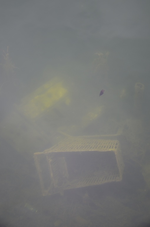 2018-04-14 Copenhagen/Center/DSC_0003.JPG